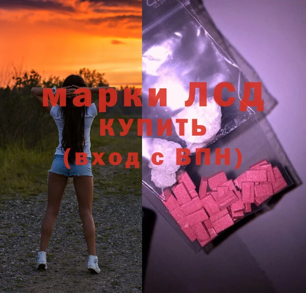 дживик Верхний Тагил