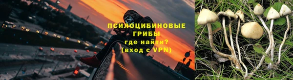 мяу мяу мука Саяногорск