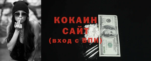 дживик Верхний Тагил
