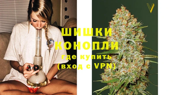 дживик Верхний Тагил