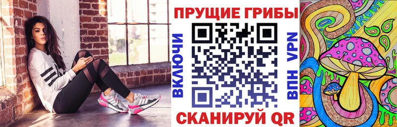 Псилоцибиновые грибы мицелий  Новосокольники 